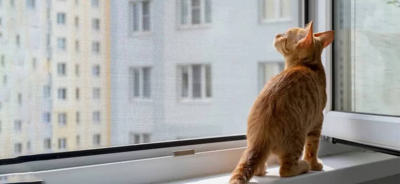 москитные сетки 